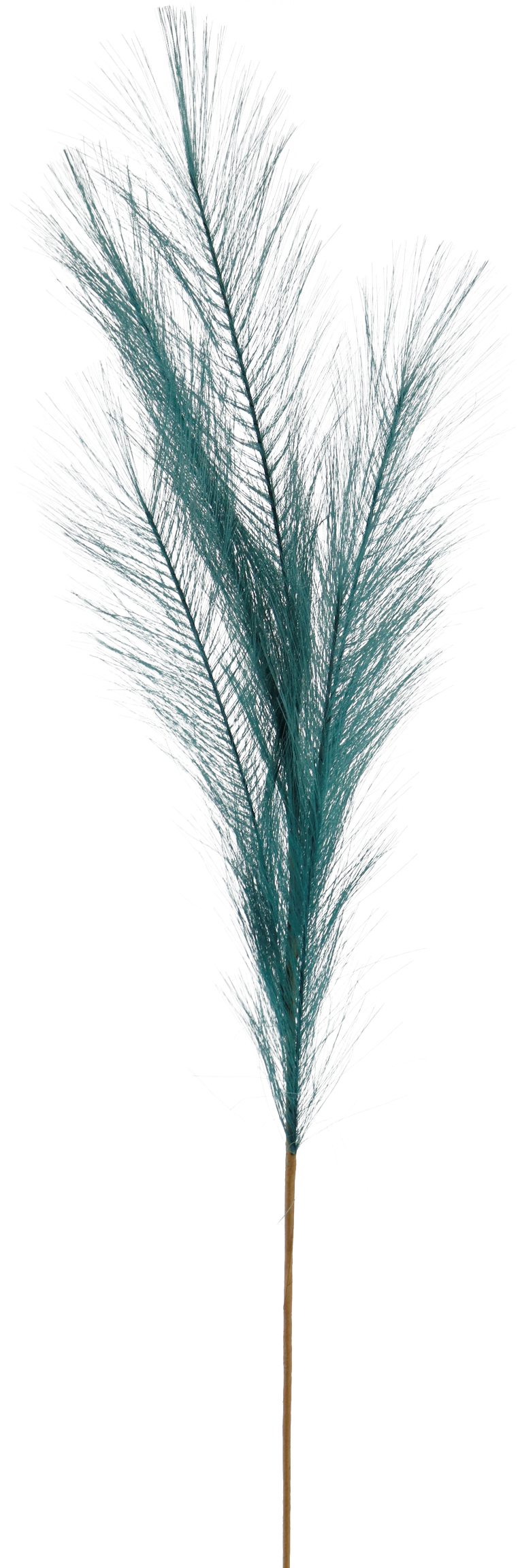 7150 PLUMA  PETROL  80CM