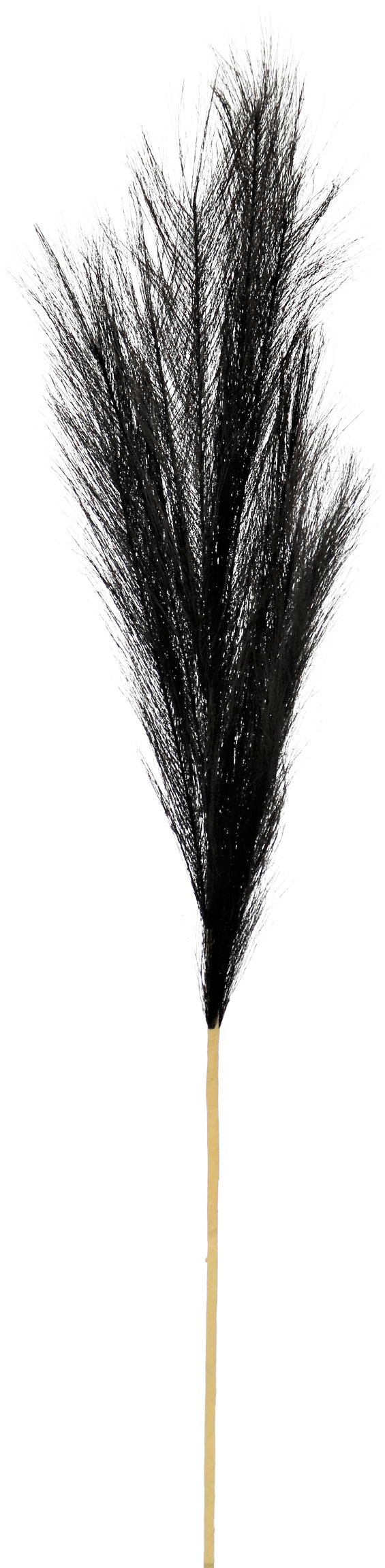 7154 PLUME SCHWARZ 80CM