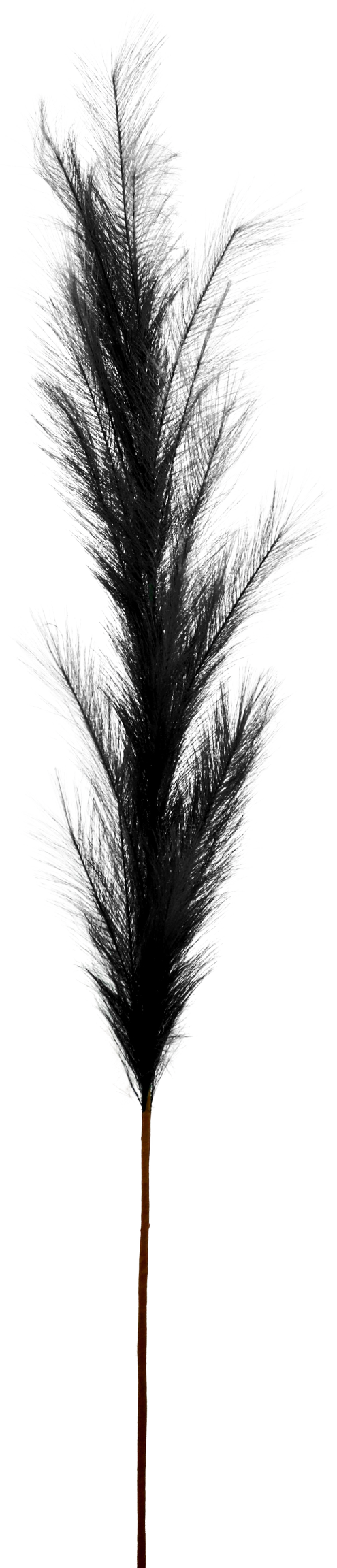 7171 PLUME SCHWARZ 170CM