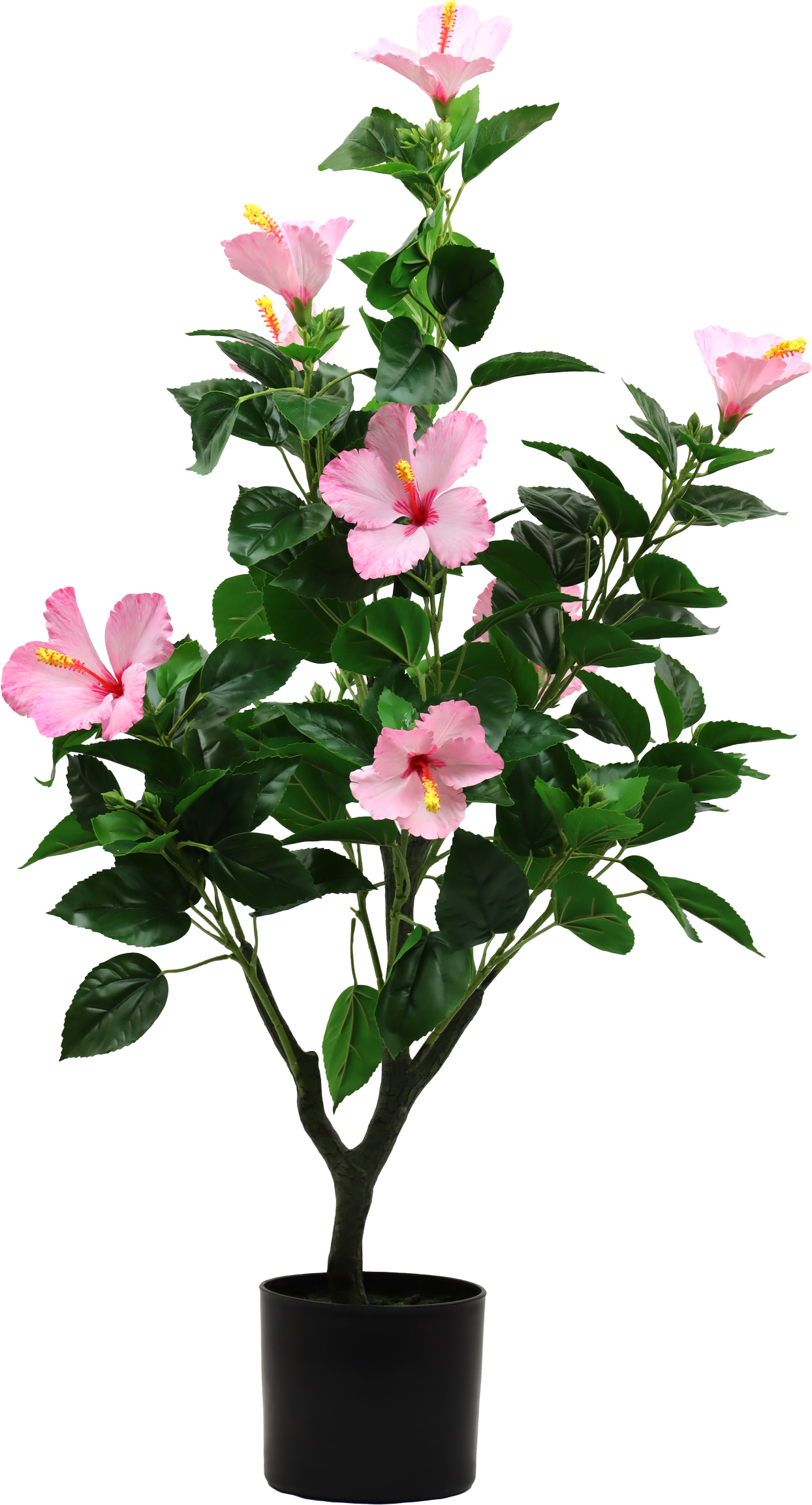 7235 ARBRE DÉCO HIBISCUS DREAM