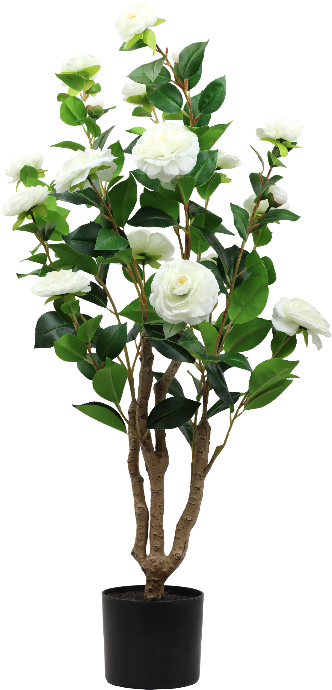 7297 ARBRE DÉCORATIF LA ROSA BELLA