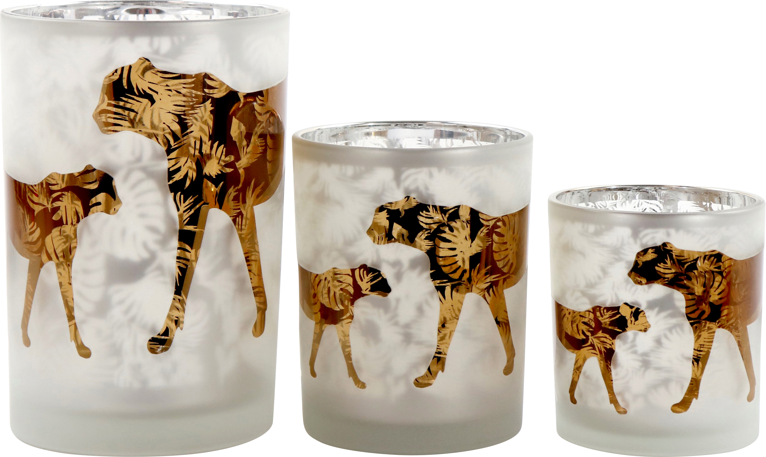 7474 PHOTOPHORES LEO  3P