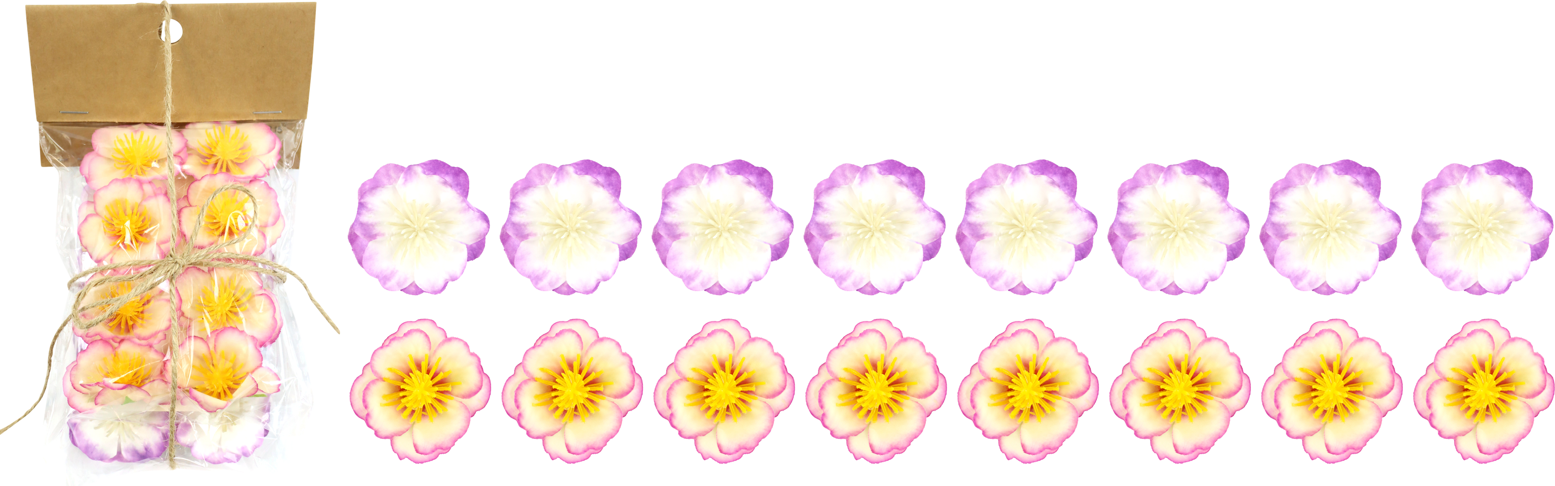 7482 MOLLETTE ORCHIDEE 2X8 16PZ