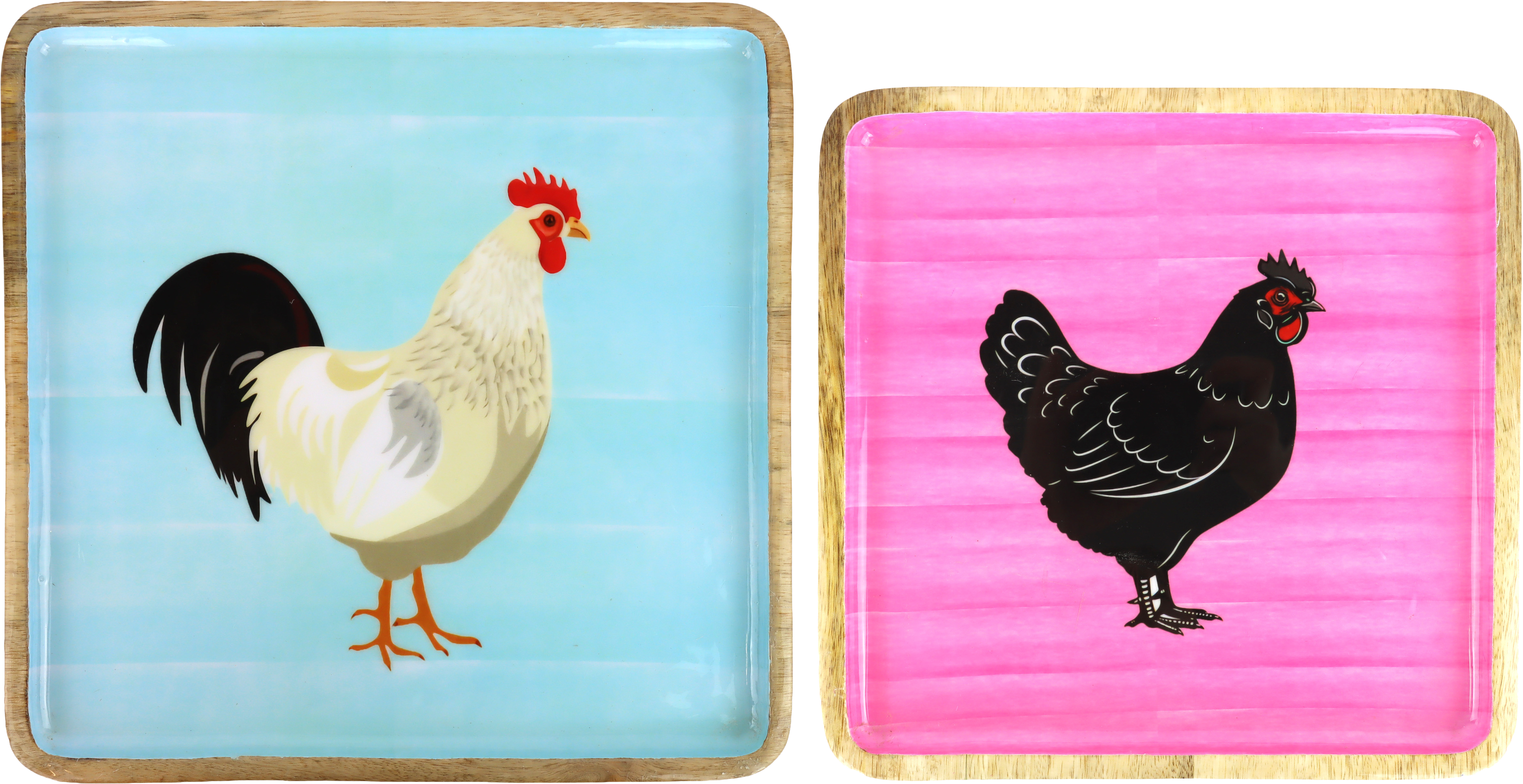 7536 PLATES KIKERIKI  S/2