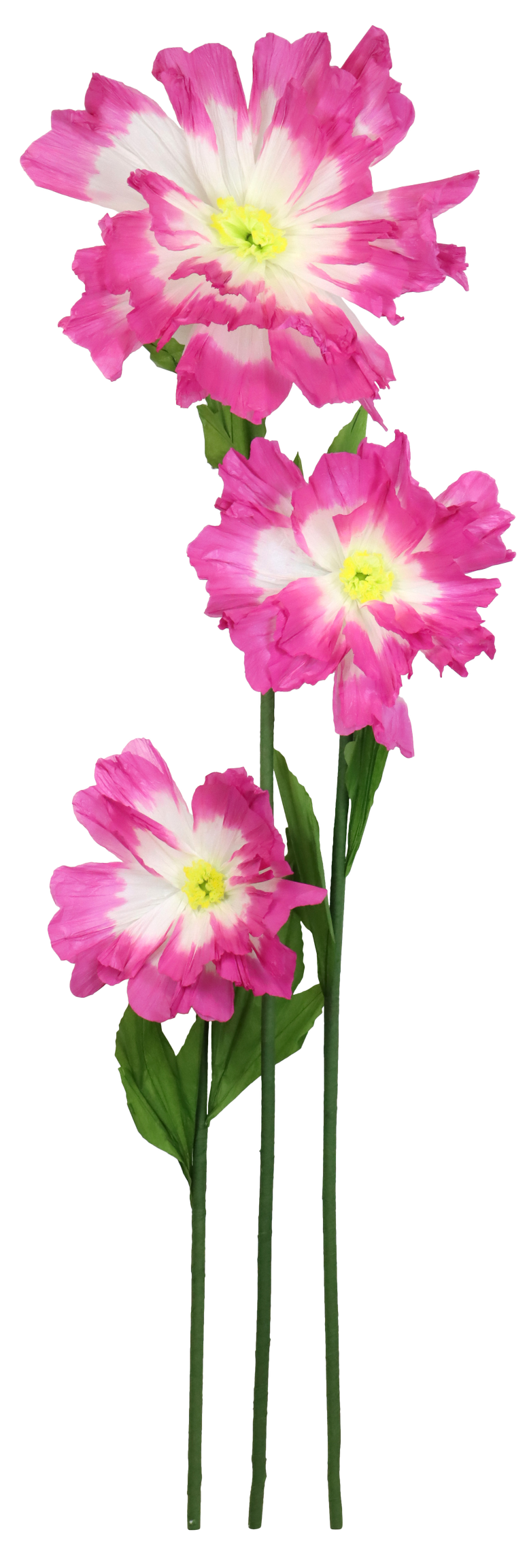 7953 FLEUR GEANTE FLEURFANTASTIQUE  3P