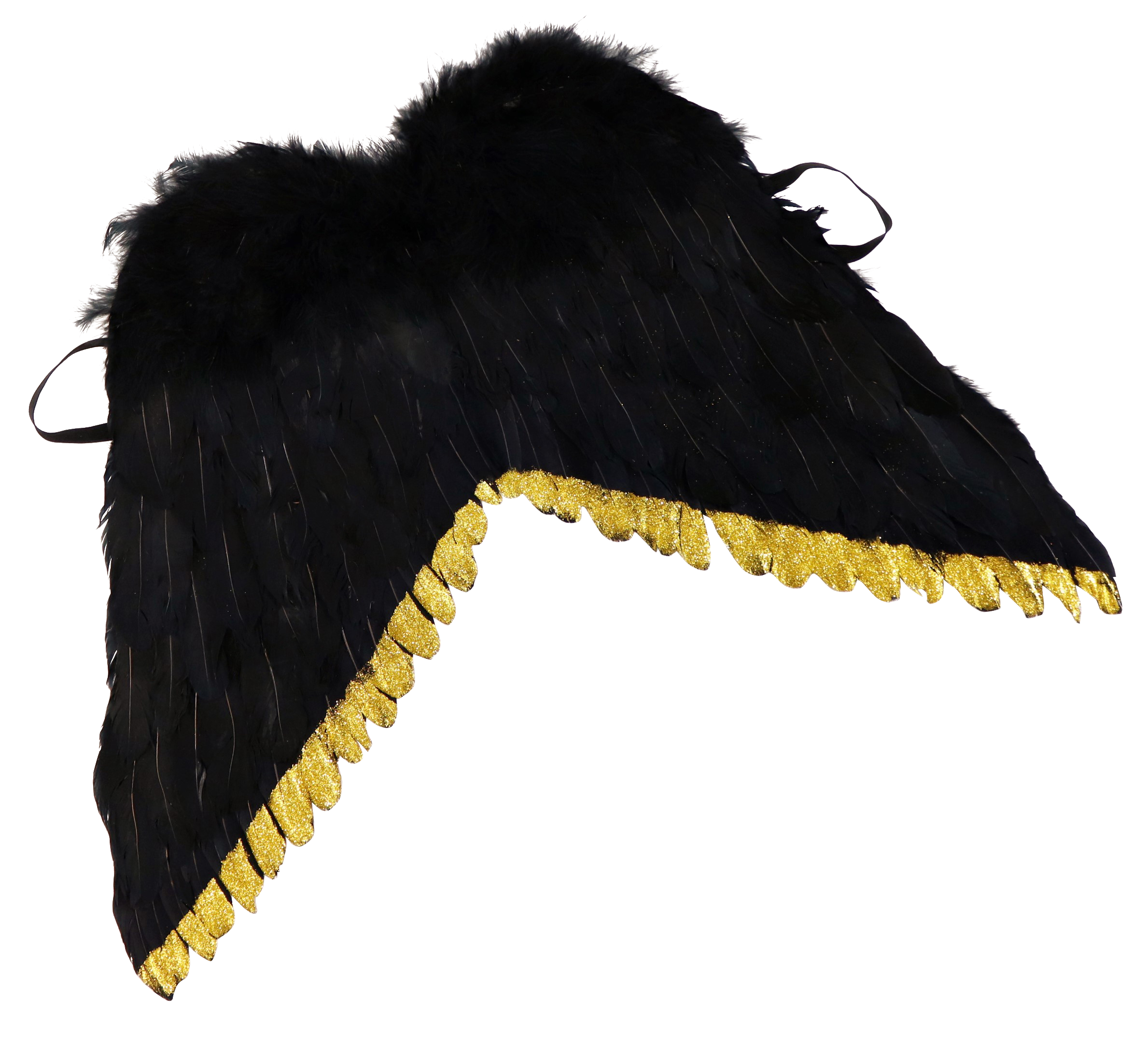 8699 AILES D'ANGE BLACK BEAUTY