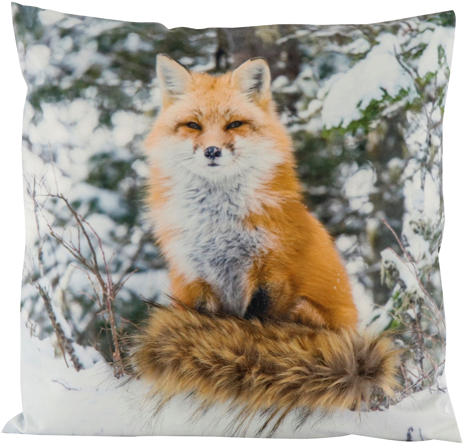 9025 COUSSIN  FUCHS 45X45