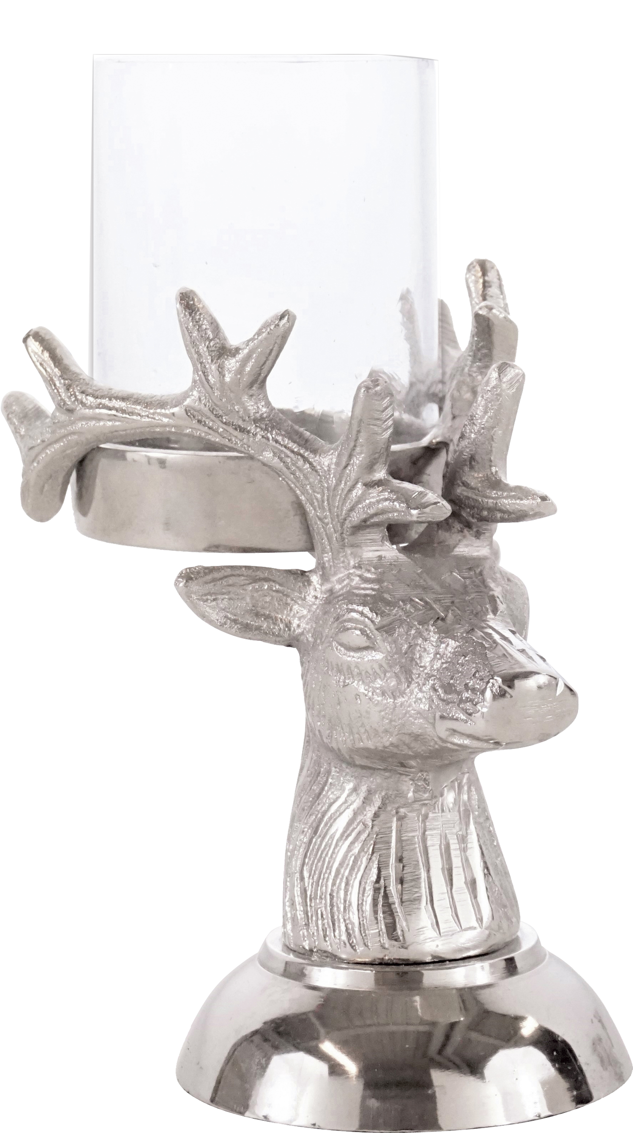 9157 PHOTOPHORE  CERF