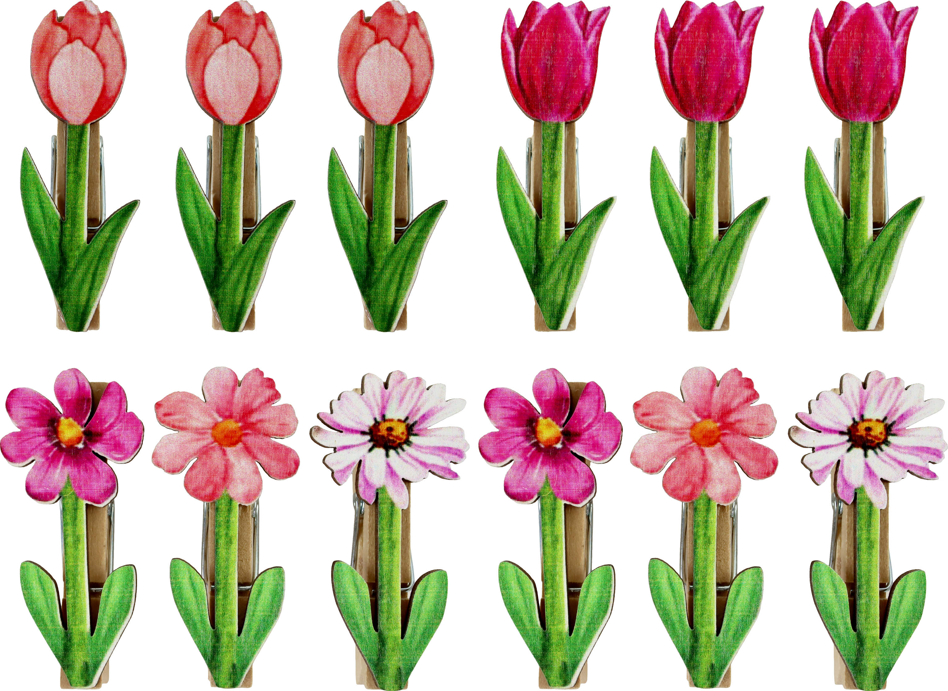 9328 PINZAS BLOSSOM BREEZE  S/12