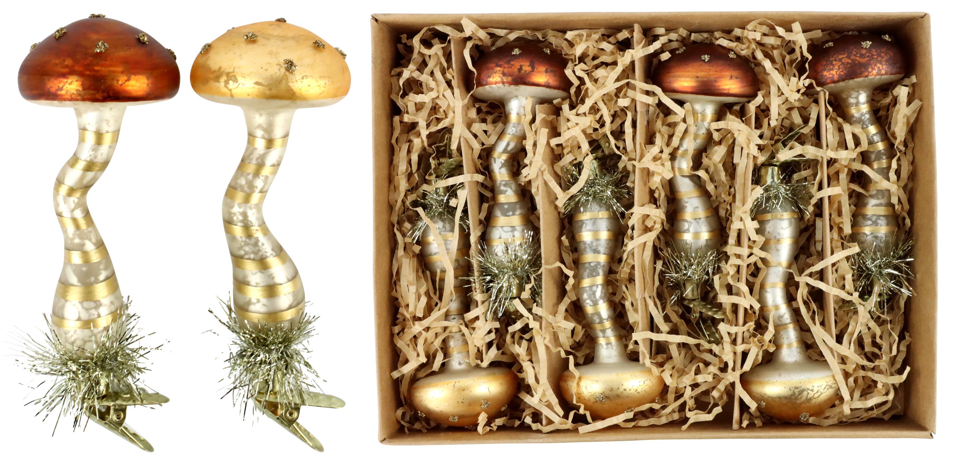 9471 COFFRET VINTAGE  CHAMPIGNONS  6P